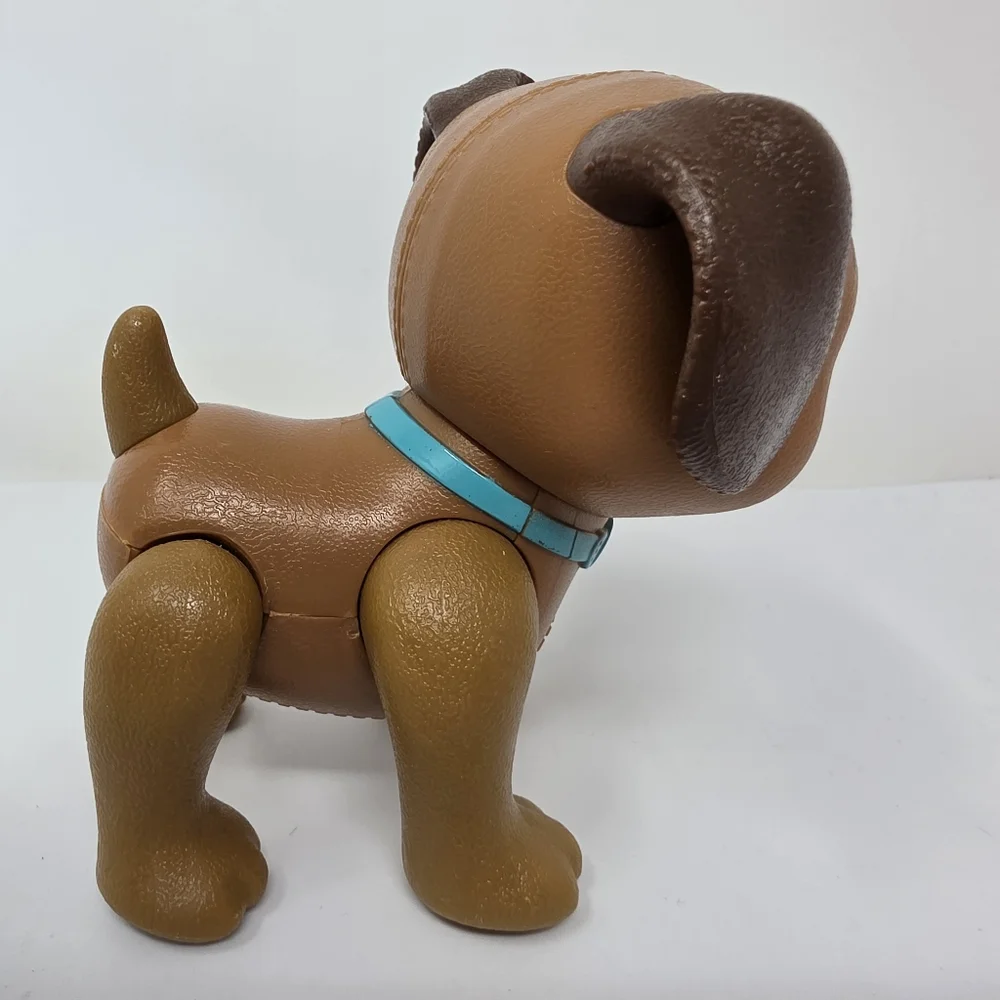 N/A dog has